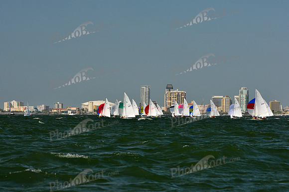 2012 Thistle Midwinters B 673