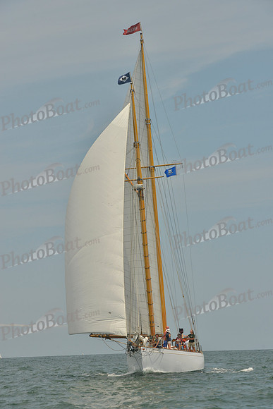2018 Vineyard Cup B_0243