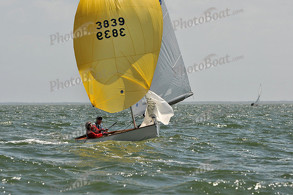 2012 Thistle Midwinters B 1274