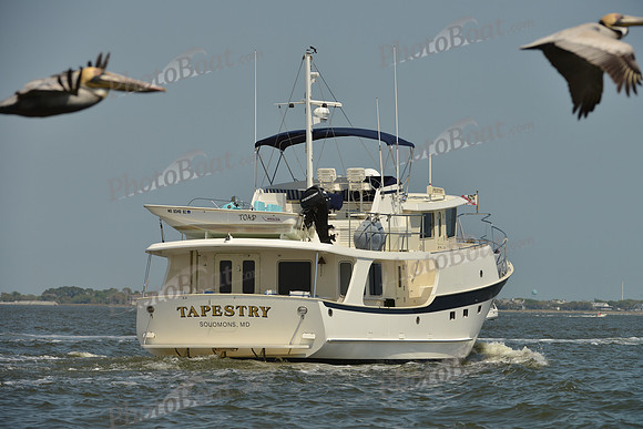 2014 Charleston Race Week D 1206