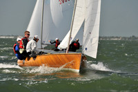 2012 Thistle Midwinters B 554