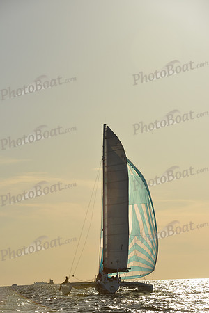2015 Vineyard Race C 768