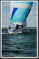 proof_2010_Vineyard_Race_0545