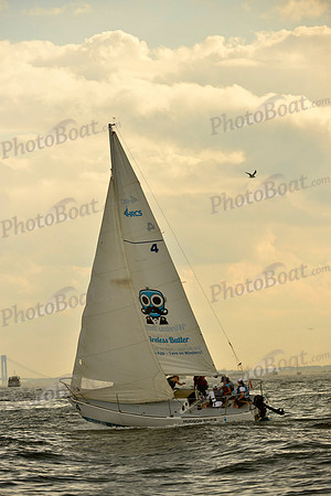 2017 NY Architects Regatta A_0896