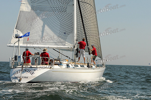 2012 Vineyard Race A 382