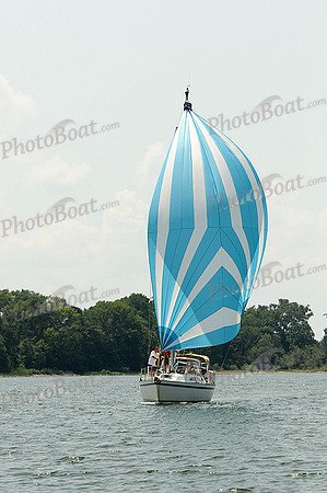 2012 Gov Cup D 348