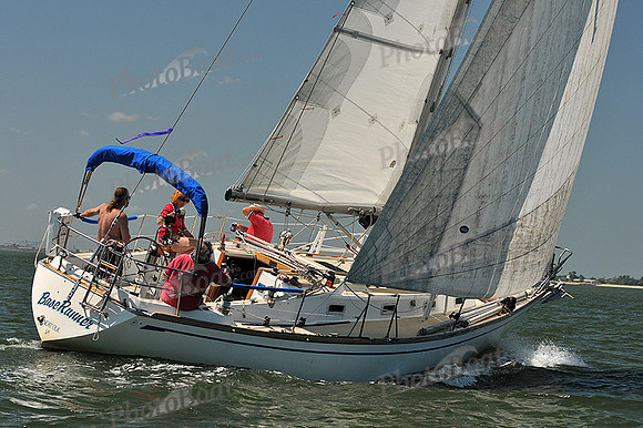 2013 Southern Bay Race Week C 1243