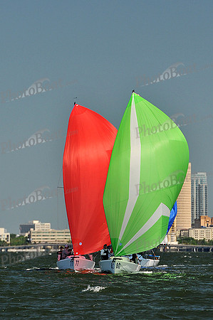 2014 J70 Winter Series G 319