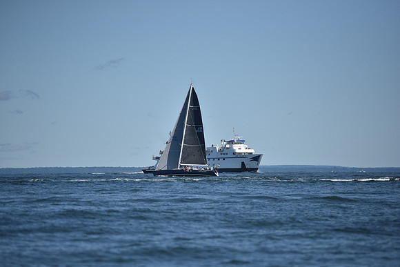 2021 Vineyard Race B 0206