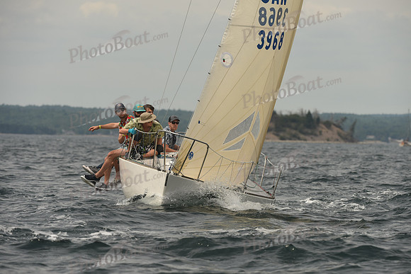 2016 Chester Race Week C_0936