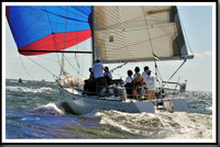 proof_2010_Vineyard_Race_1272