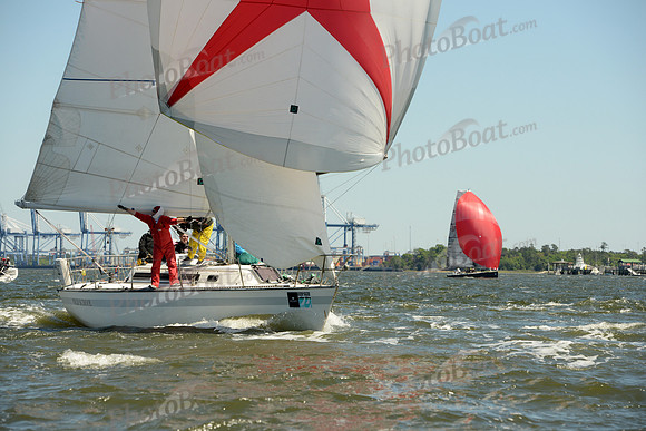 2016 Charleston Race Week E_0530