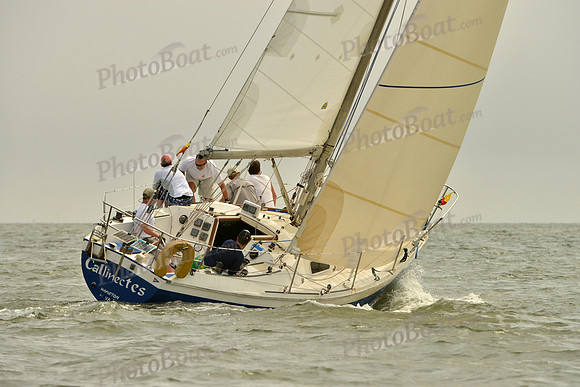 2016 Southern Bay Race Week A_0362