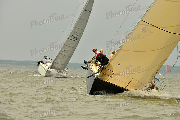 2016 Southern Bay Race Week A_1081