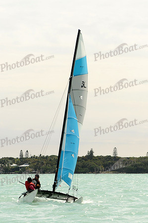 2012 Tradewinds Regatta 595