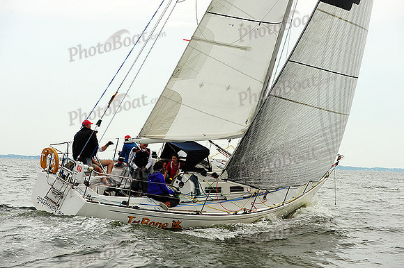 2014 Gov Cup A 1955