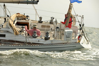 2015 Vineyard Race A 418