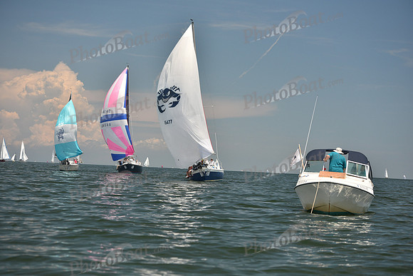 2018 Southern Bay Race Week C_1560