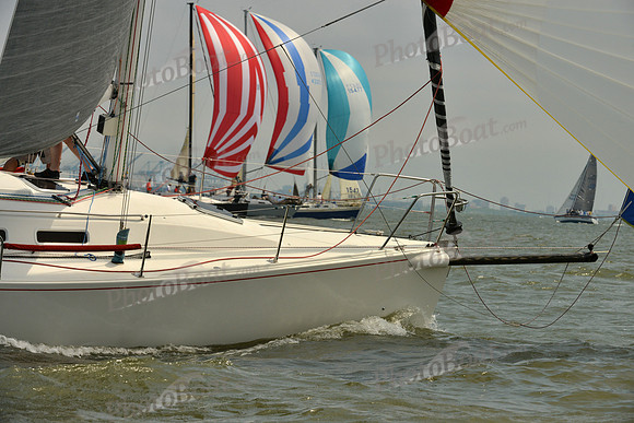 2016 Southern Bay Race Week A_1750