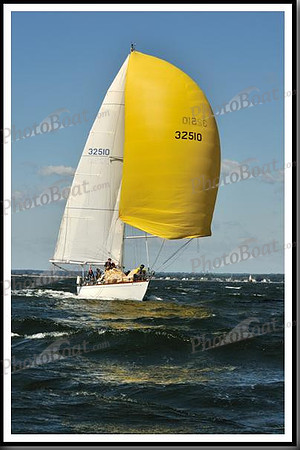 proof_2010_Vineyard_Race_0468