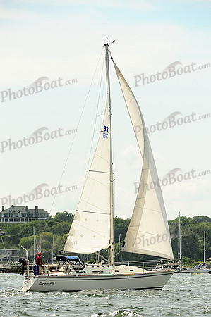 2014 NYYC Race Week A 621