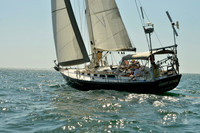 2017 St Petersburg Habana Race_1132