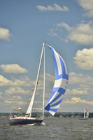 2016 Vineyard Race A_0494