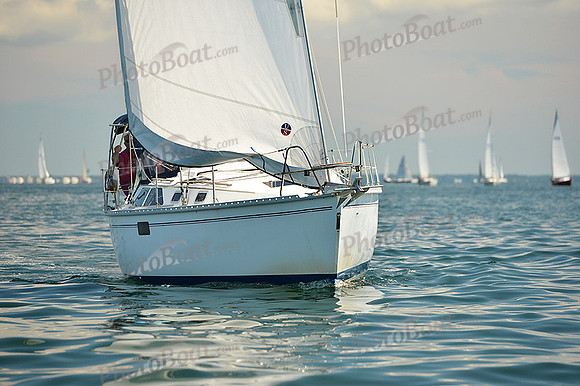 2015 Cape Charles Cup C 495