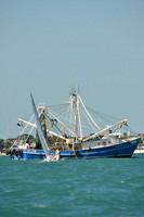 2014 Key West Race Week D 1228