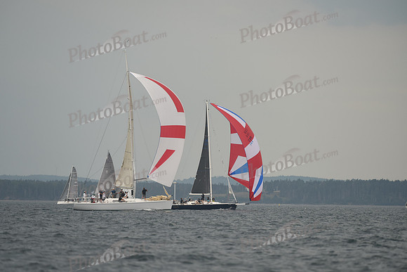 2016 Chester Race Week D_0493