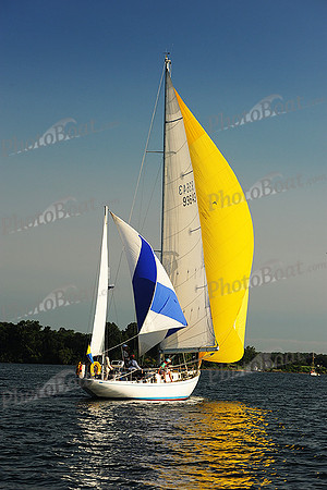 2015 Gov Cup D 232