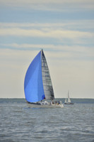 2016 Vineyard Race A_0612