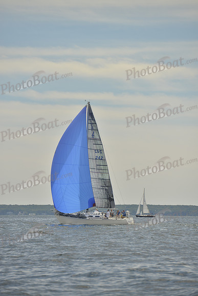 2016 Vineyard Race A_0612
