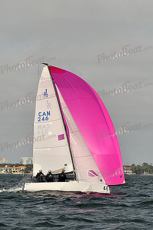 2014 J70 Winter Series A 1442