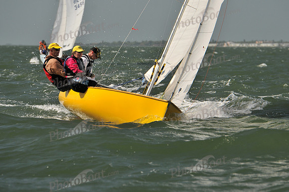 2012 Thistle Midwinters B 651