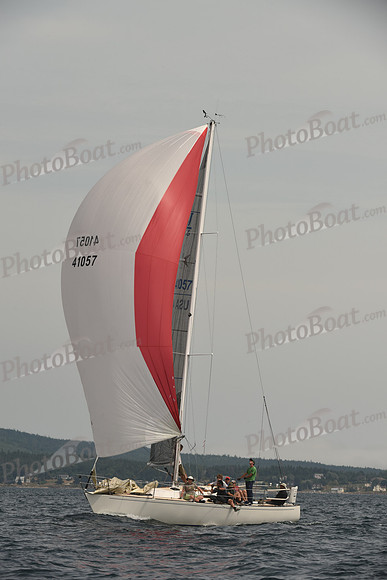 2016 Chester Race Week C_1558