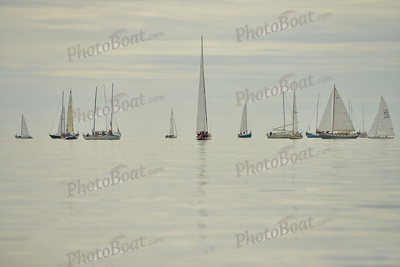 2016 Chester Race Week G_0019