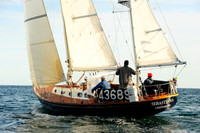 2014 Newport Bermuda A 2878
