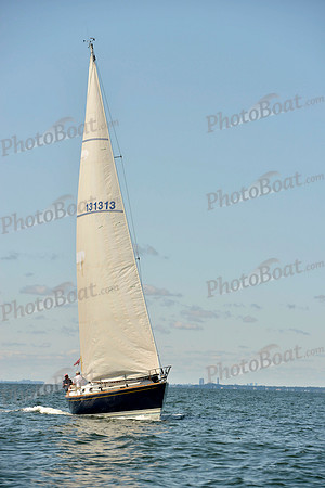 2017 Stamford Denmark Race_0340