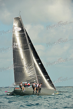 2015 Key West Race Week D 599