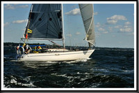 proof_2010_Vineyard_Race_0426