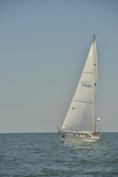 2017 Southern Bay Race Week B_1147