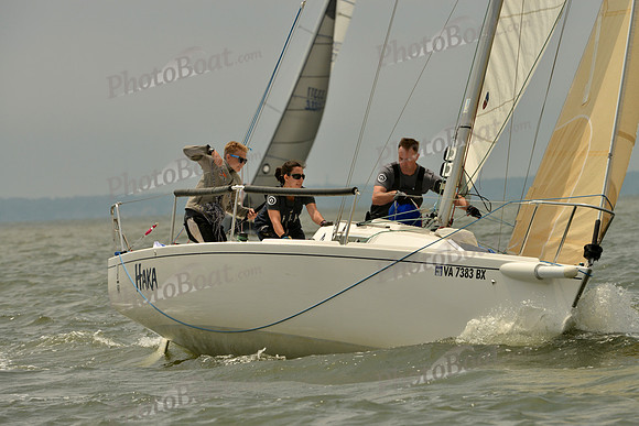 2016 Southern Bay Race Week A_0977