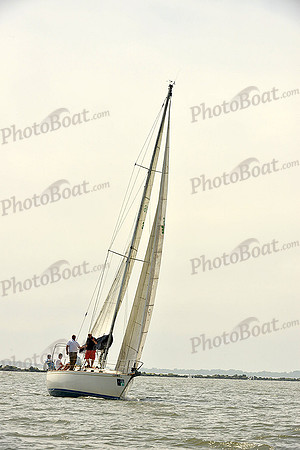 2015 Charleston Race Week B 488