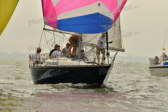 2016 Southern Bay Race Week A_0389