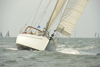 2015 Vineyard Race A 410