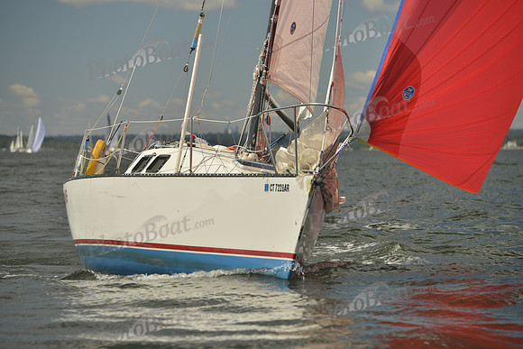 2016 Vineyard Race A_0368