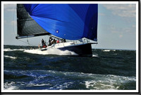 proof_2010_Vineyard_Race_0856