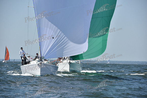 2019 Vineyard Race A_1319