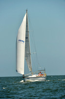 2015 Southern Bay Race Week C 1118